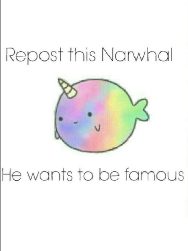 Roost this adorable narwhal,please! 😋
