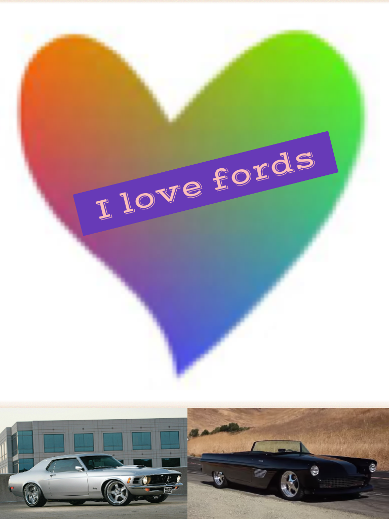 I love fords