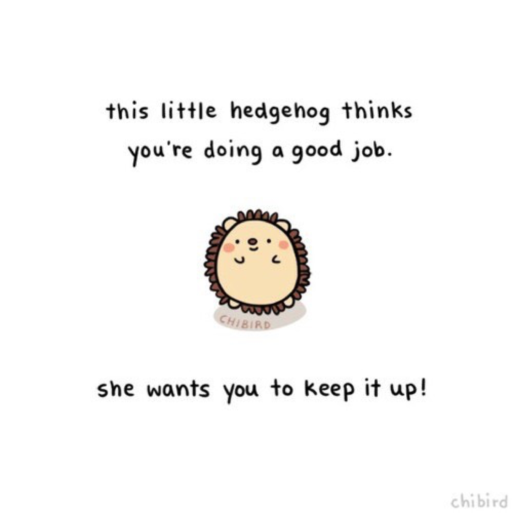 -please accept little hedgehog's encouragement!💖🌾 don't ever think that you can't do something because you always can if you have hope and keep on trying ⭐️👼🏼