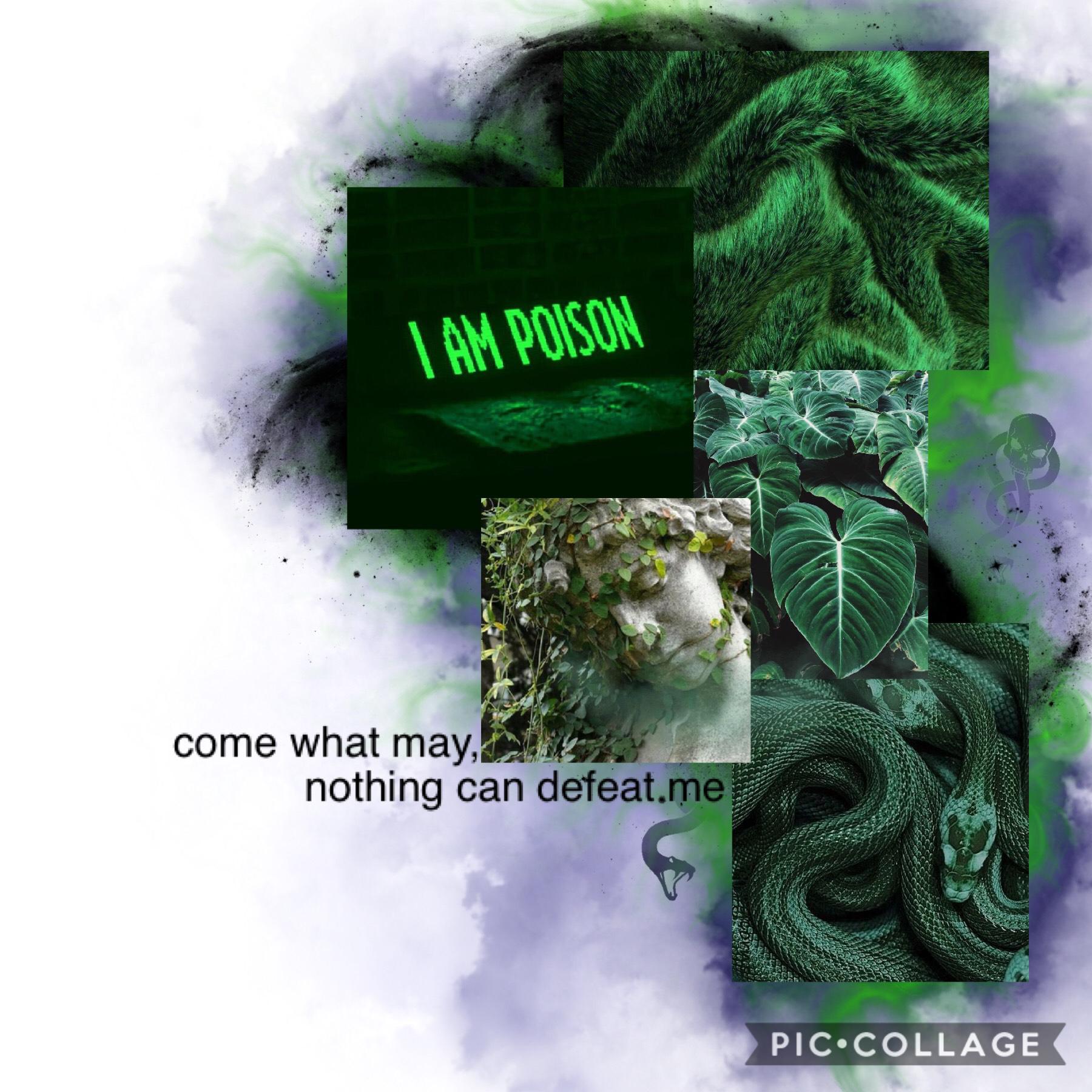 12/22/18
I know this isn’t very Christmasy, but then again I’m not in a very Christmasy mood. Slytherin inspired, snake themed collage. 💚🖤💚