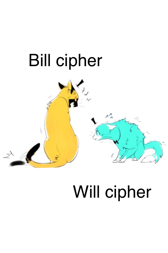Cipher cats cute😹😸