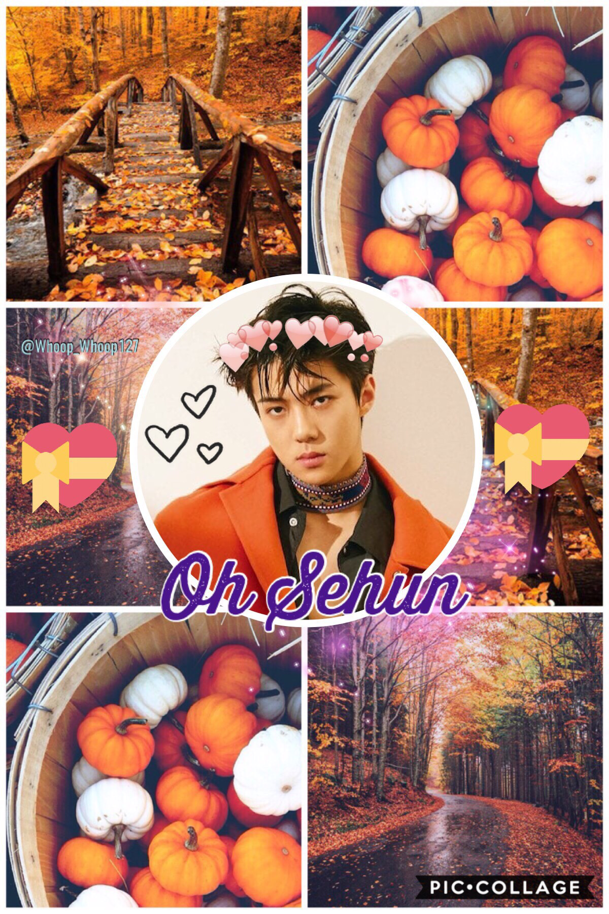 •🚒•
🍂Sehun~EXO🍂
Edit for @Marksonyum❤️❤️❤️
We are almost to 500 ducklings ahhh!!! 😊😊
My whole phone is practically all Hwang Hyunjin OML😅😂