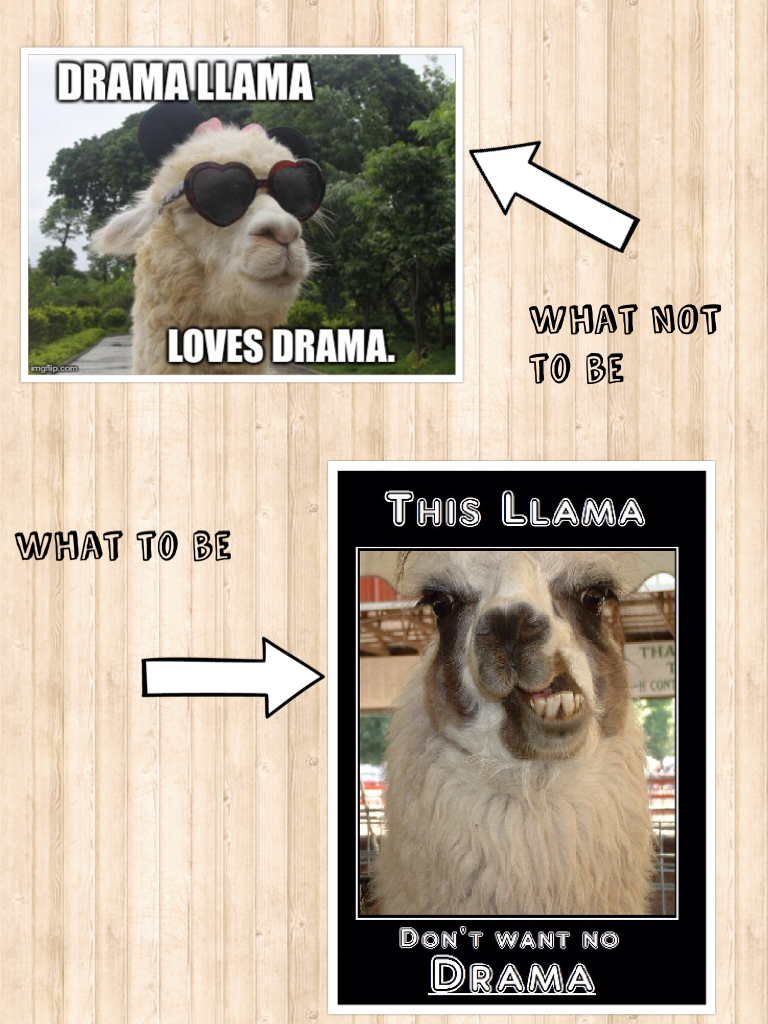 Don't be a drama llama