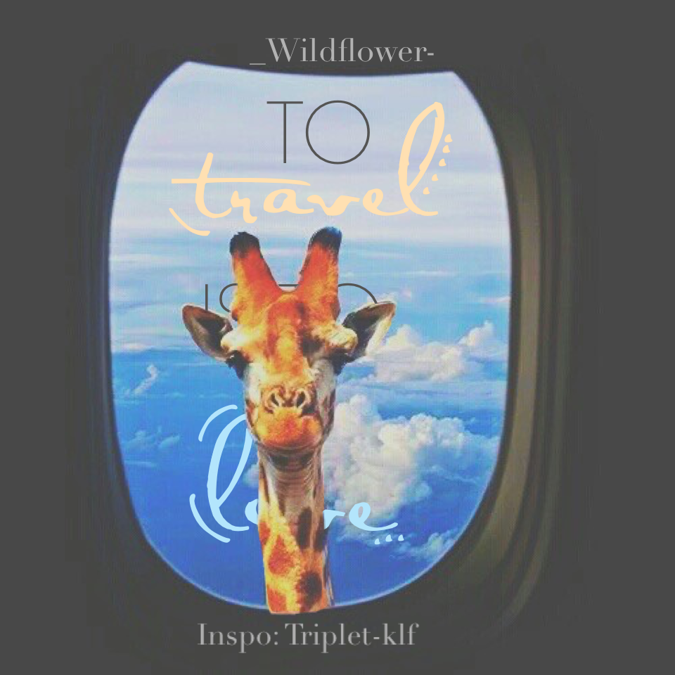Tap
"To travel is to live." Inspired by and dedicated to @Triplet-klf💕