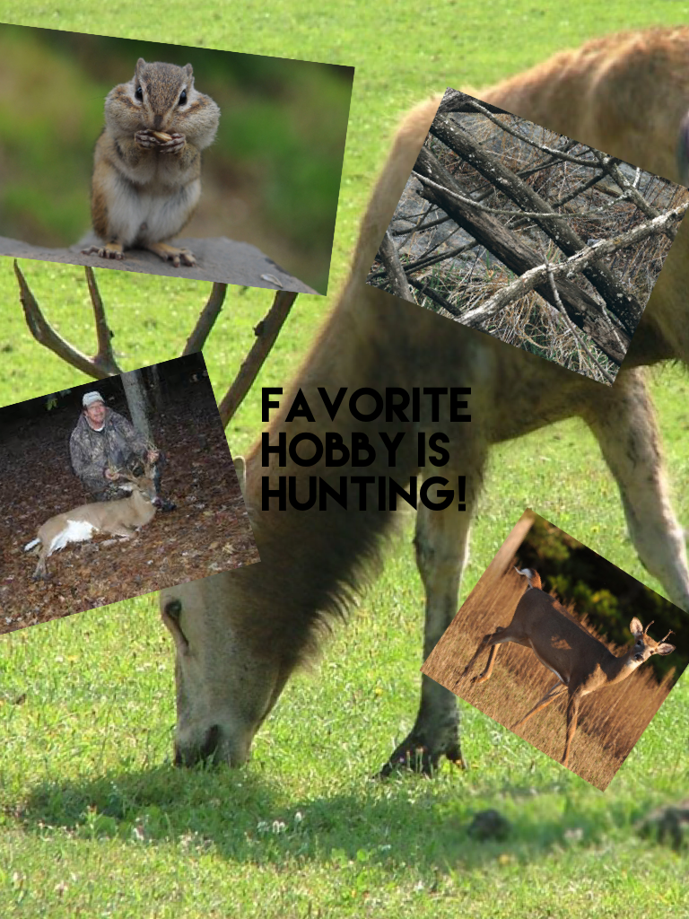 Favorite hobby is hunting!