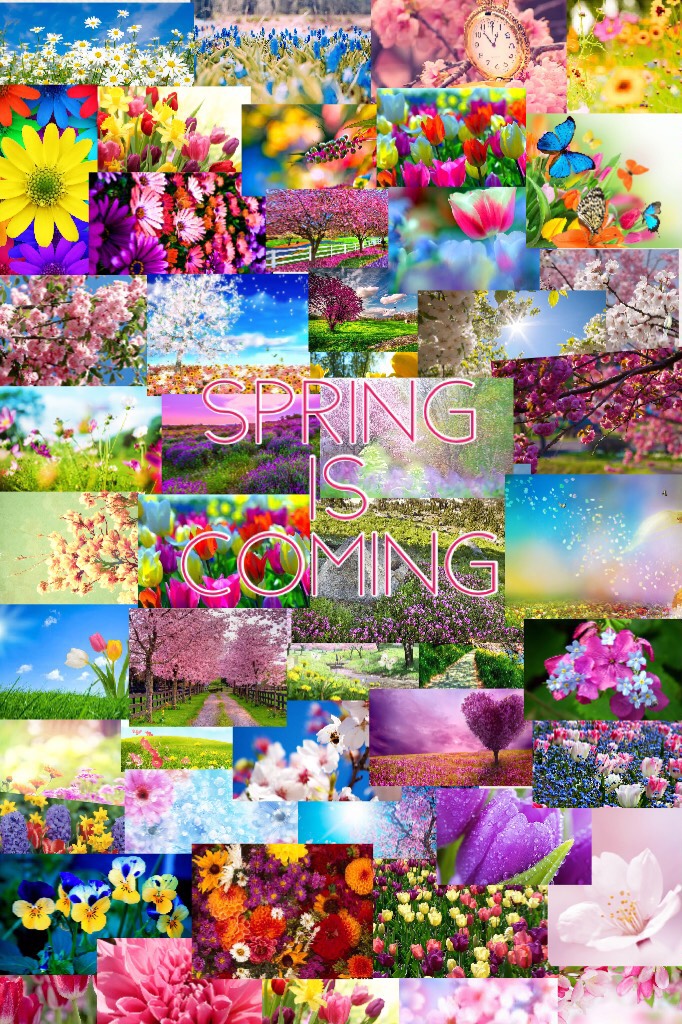 Spring is coming guys ! Spring is one of volleyball711s new themes 