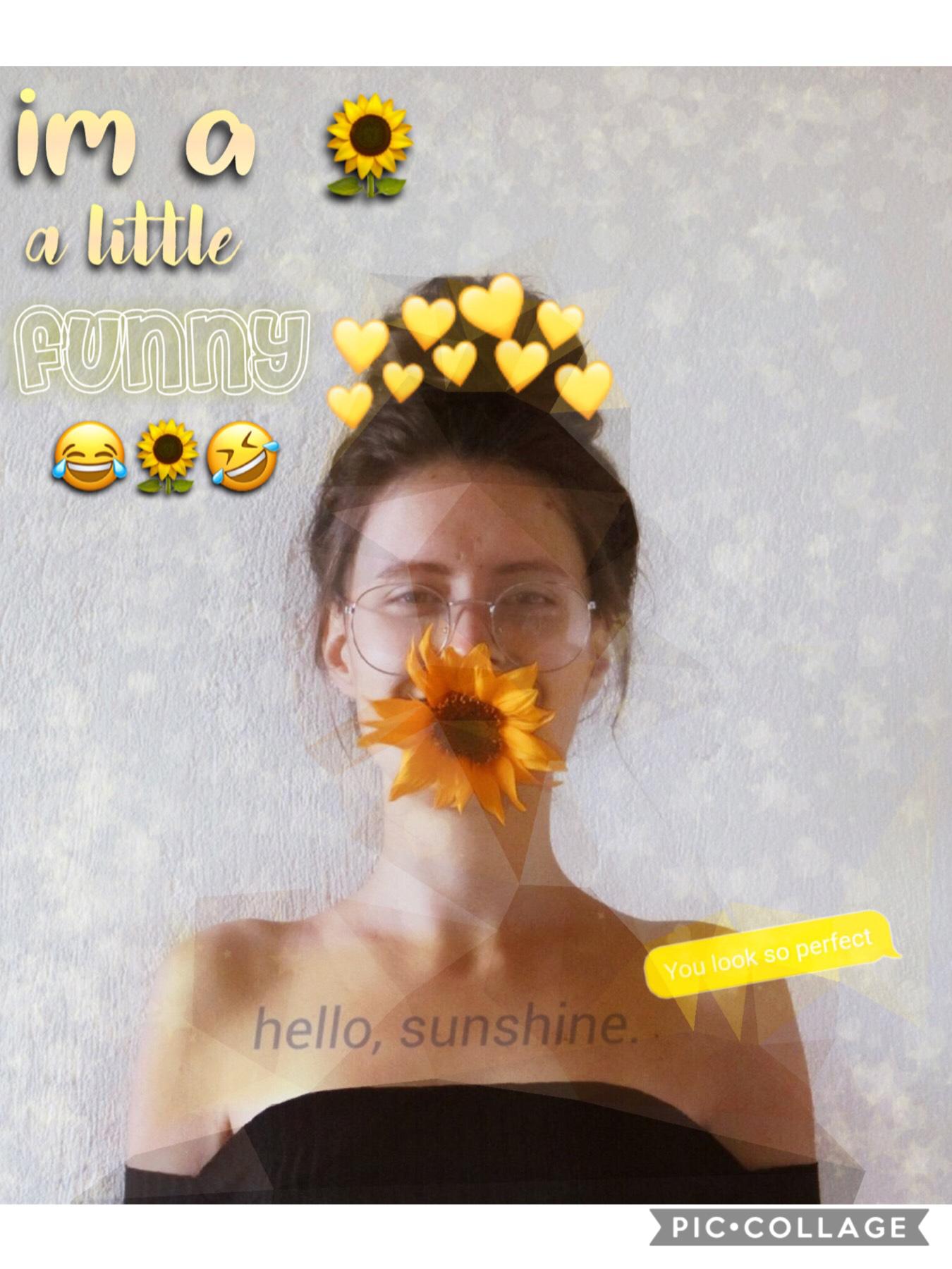 🌼I’m a sunflower a little funny🌻