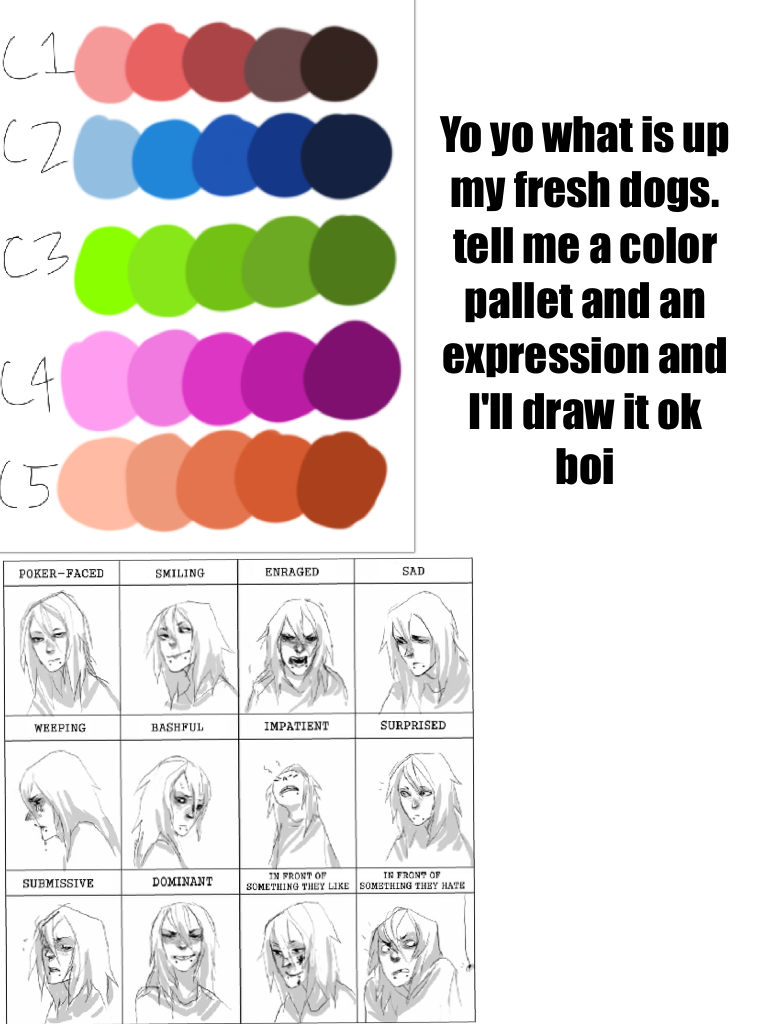 Yo yo what is up my fresh dogs. tell me a color pallet and an expression and I'll draw it ok boi