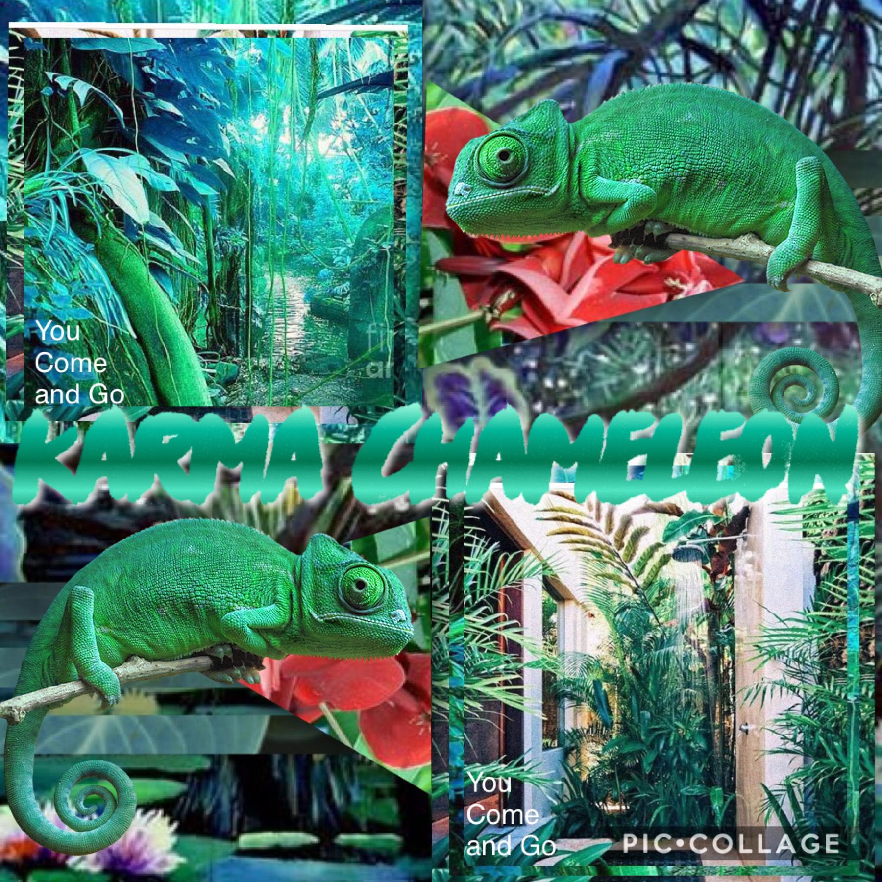 Karma Chameleon collage! 🦎

Btw, I will be posting some VERY overdue stuff soon(cause I’m bad at running this account!)!