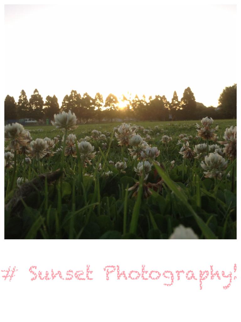 # Sunset Photography!