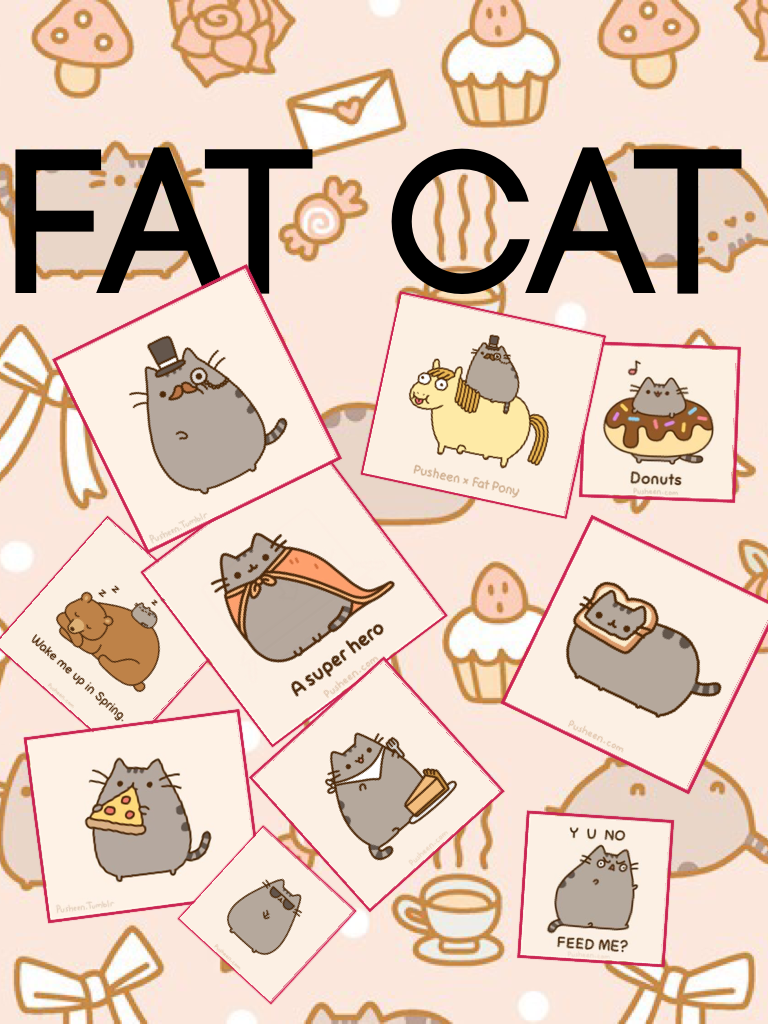 Fat cat 