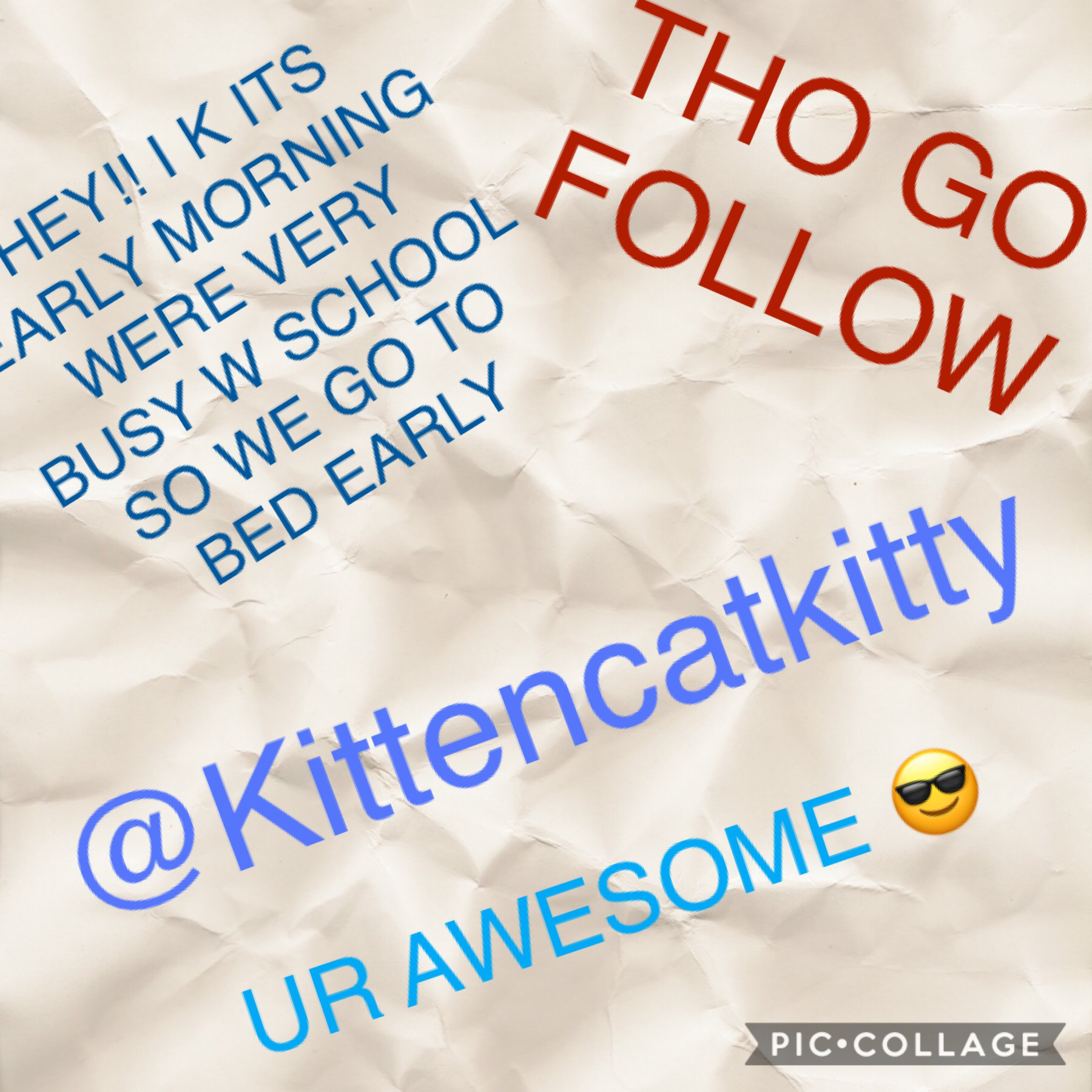 Go follow@kittencatkitty