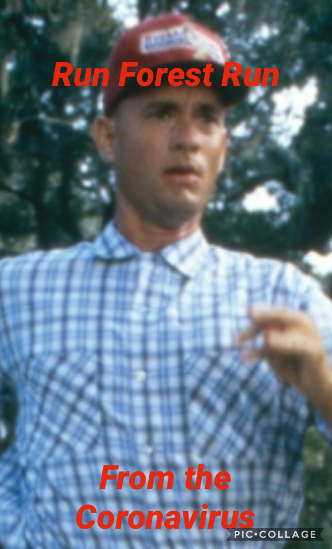 The actor who played Forest Gump has the coronavirus