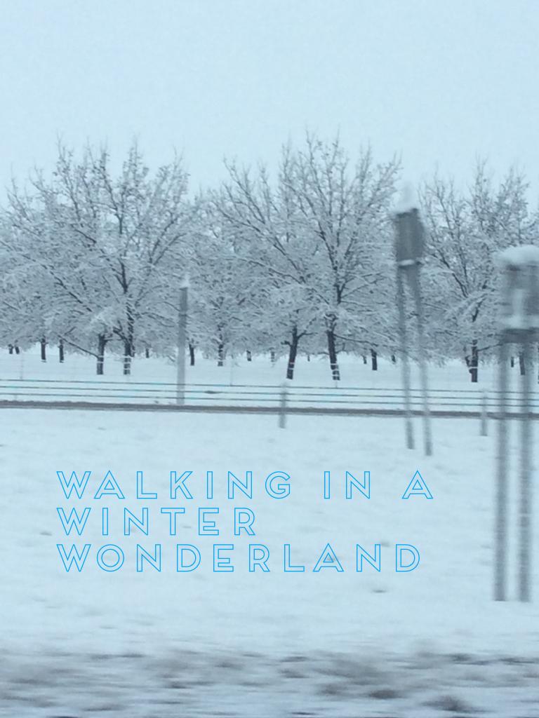 WALKING IN A WINTER WONDERLAND