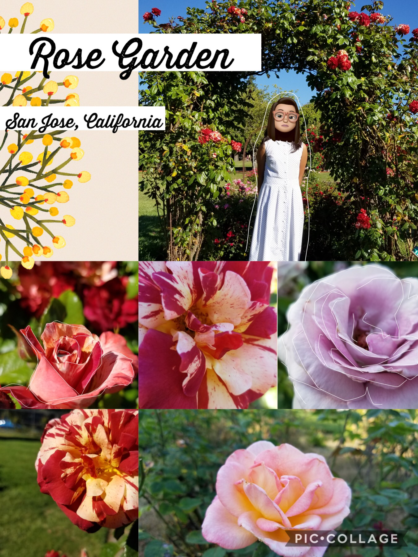 - 🥭 -

Sorry I haven’t been posting collages in a while... I was so busy this month 😓
Anywayzzzzzz... this rose garden is sooooo beautiful! Once you walk in, you already SMELL the rose fragrance. There were so many different types of roses~ 🌹🌹🌹