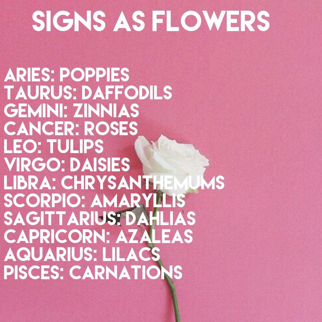 Comment your sign!