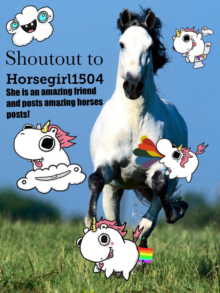 Shoutout to Horsegirl1504