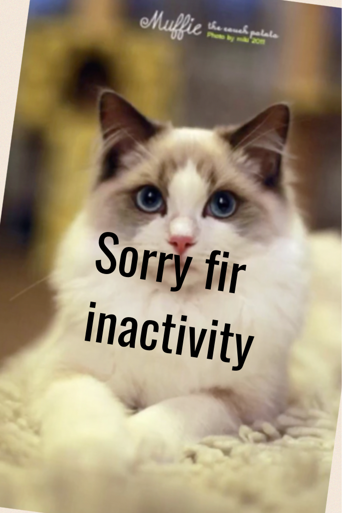 Sorry fir inactivity