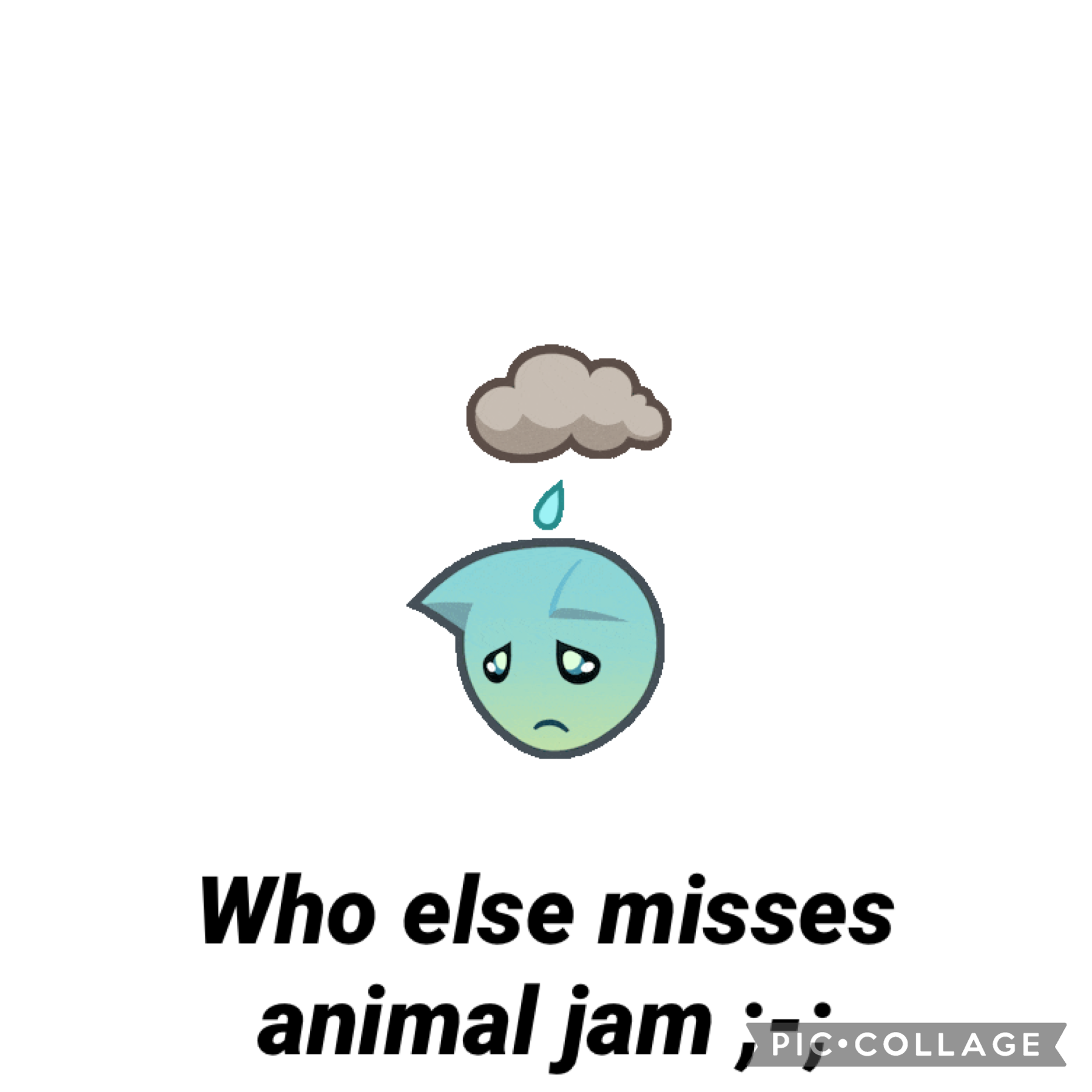 R.I.P animal jam because of flash also rip 