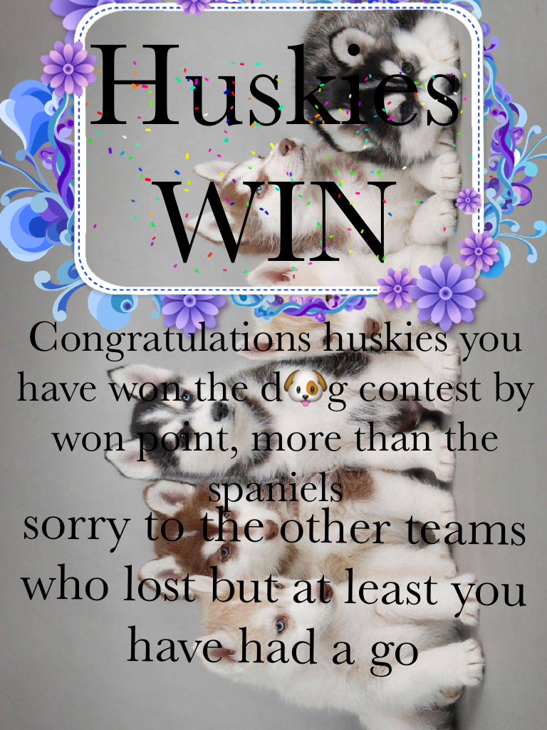 Huskies WIN