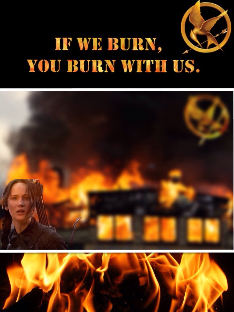 If we burn you burn with us.