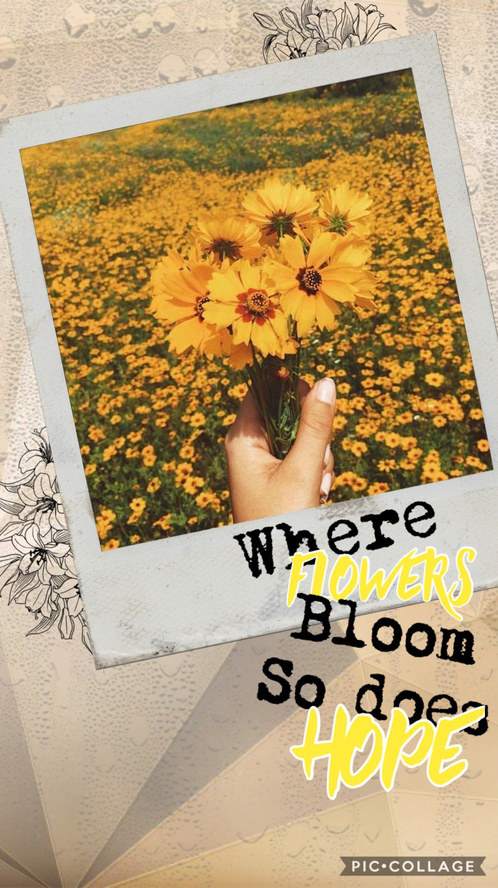 💛 Where flowers bloom, So does hope 💛