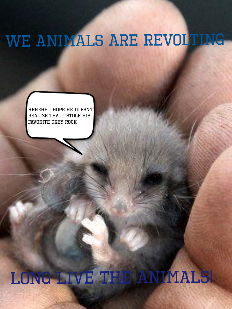 Animals are revolting, fighting back, taking over the world slowly, by using the power of cuteness. 
