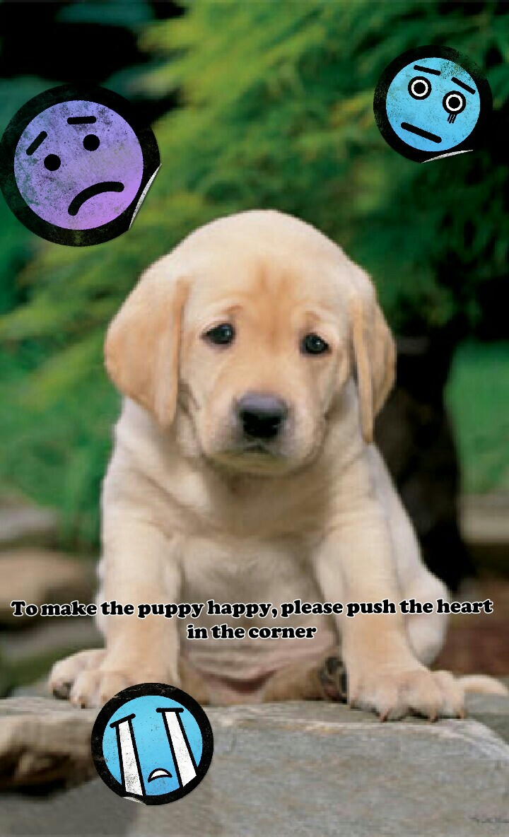 To make the puppy happy, please push the heart
in the corner