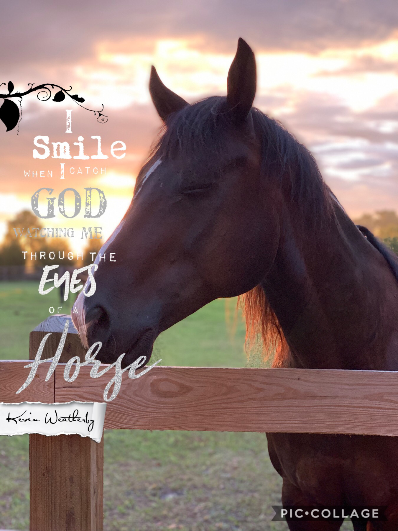 This is my horse Bailey 🤗 and I LOVE this quote 