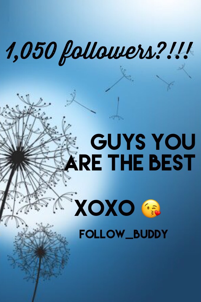 1,050 followers?!!!