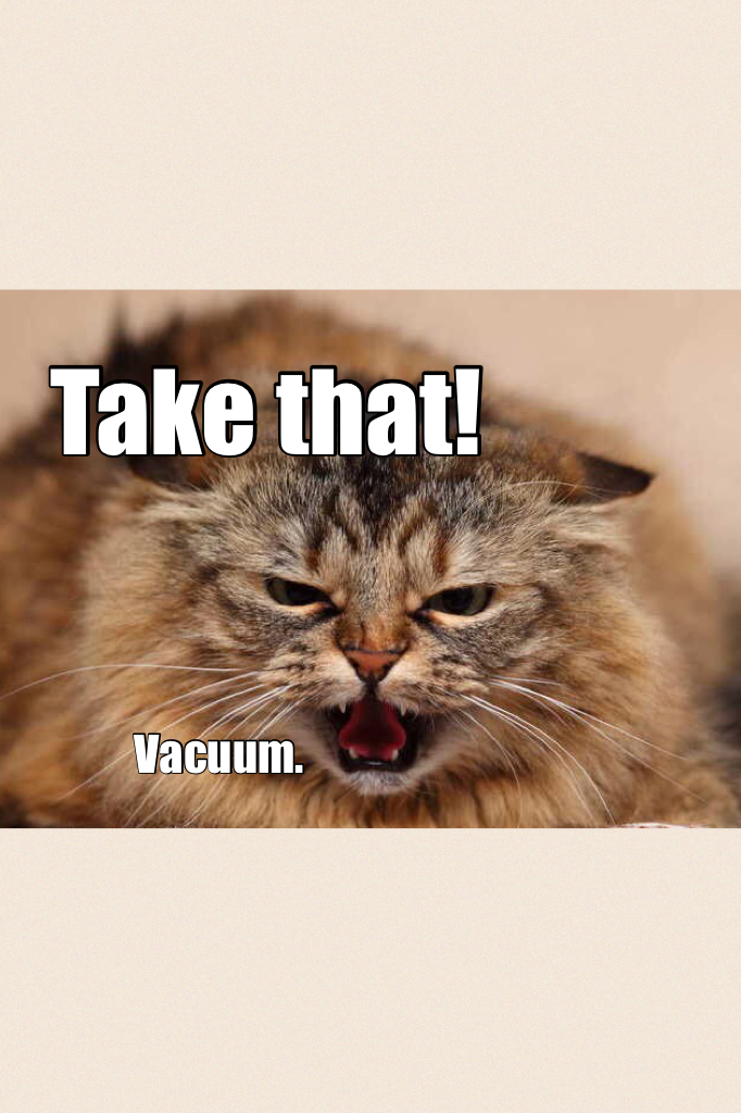 Vacuum hater