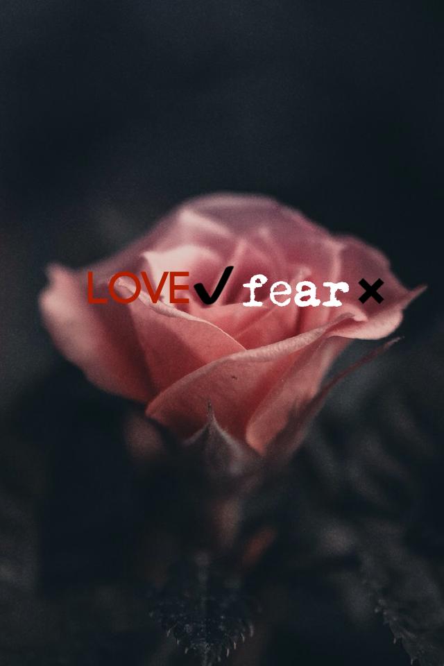 Love✔️
love is against of fear...
