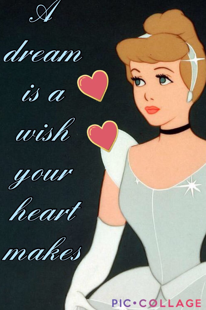 A dream is a wish your heart makes 
