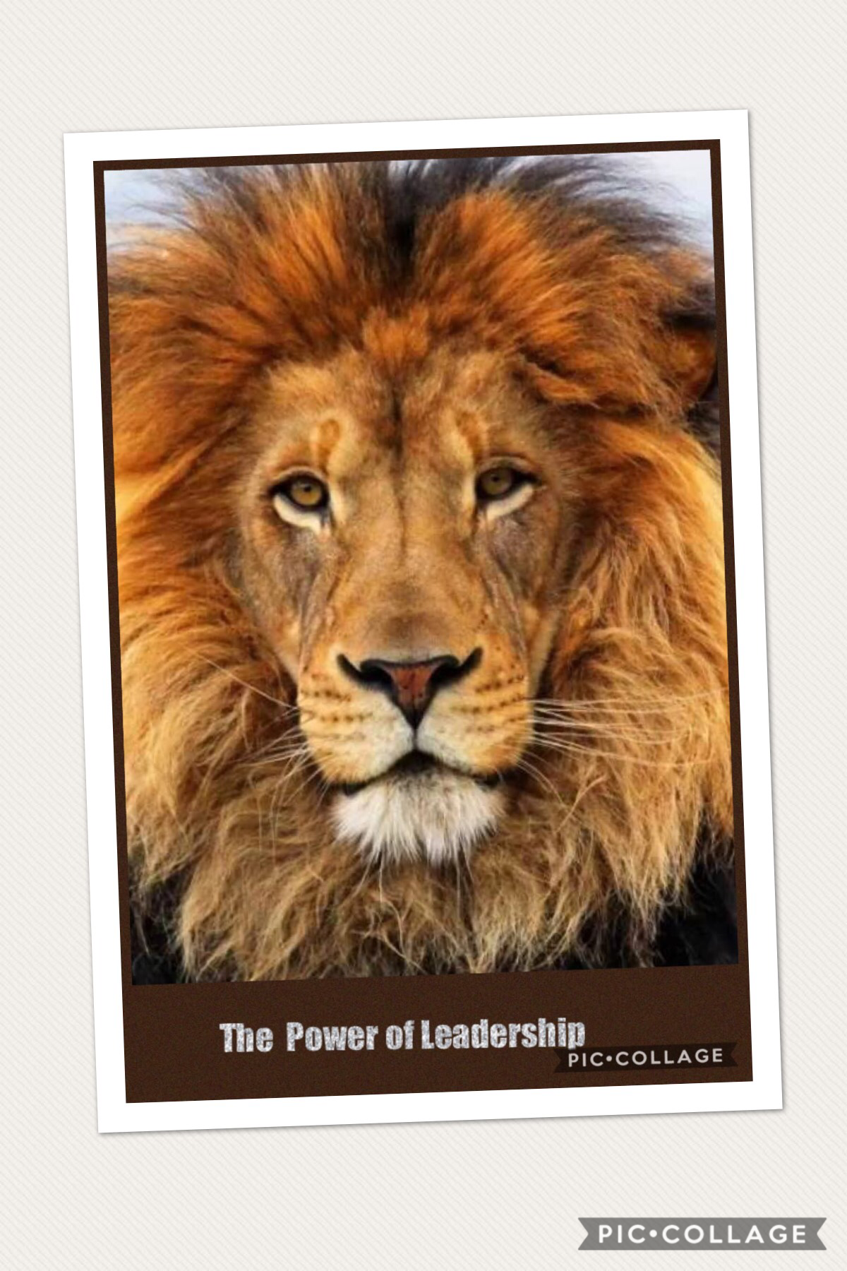 The power of leadership
