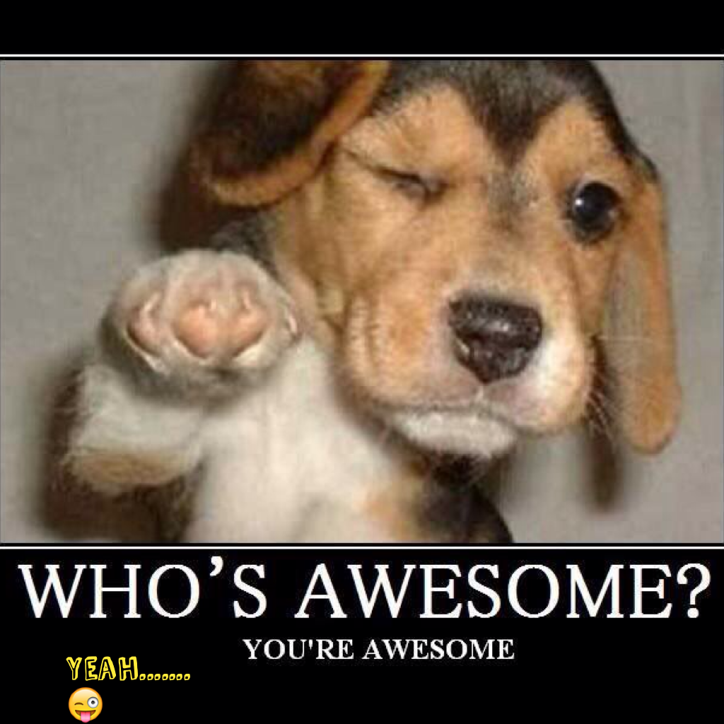 WE ARE ALL AWESOME!!!!!!!!