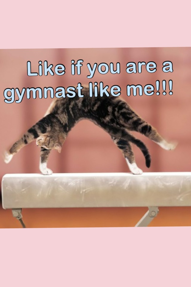 <3Gymnastics love<3