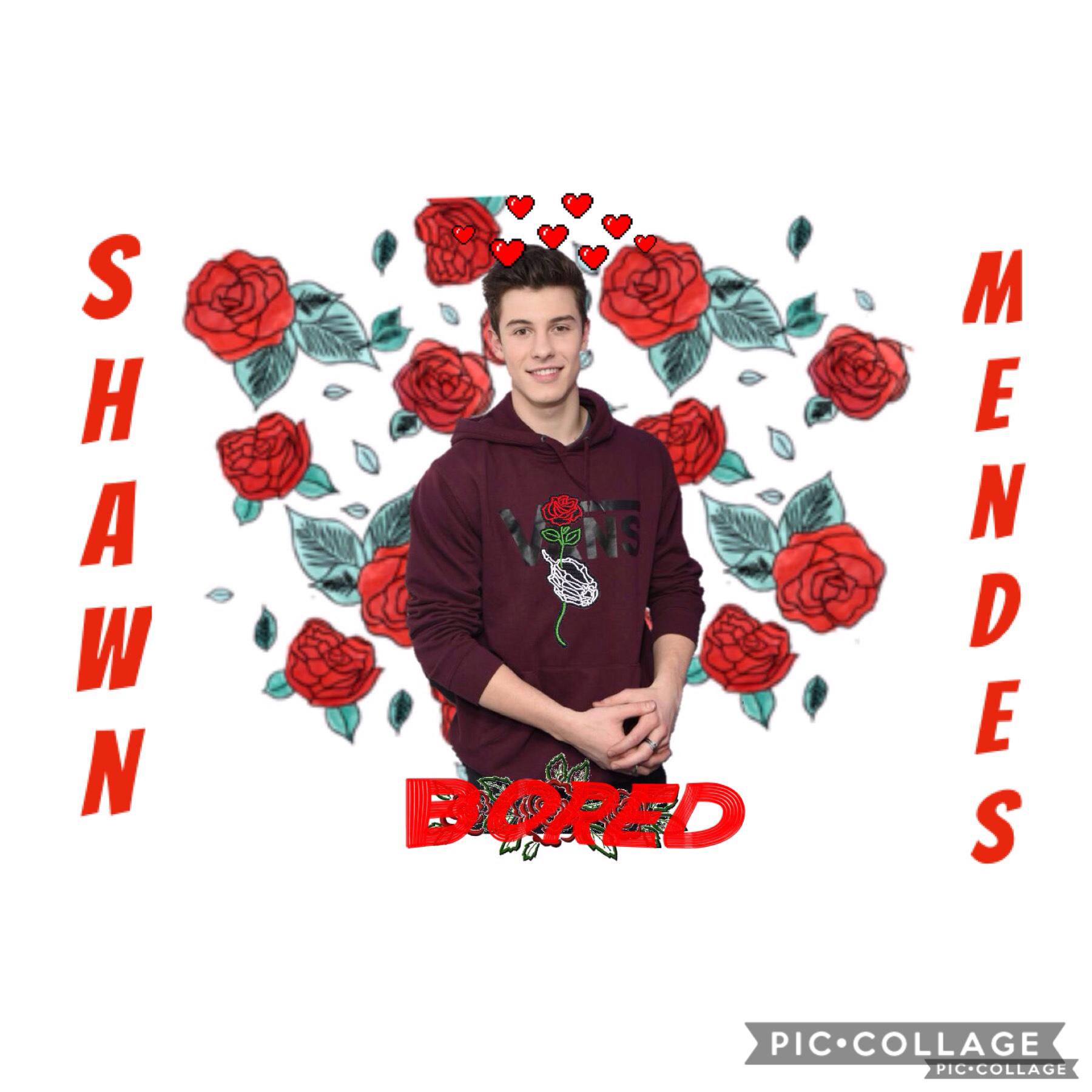 ~ShAwN mEnDeS~