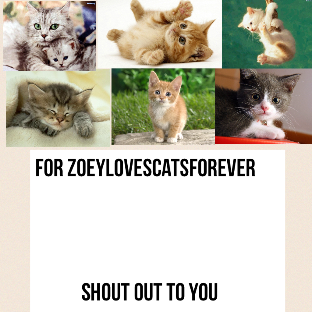 For zoeylovescatsforever




            Shout out to you