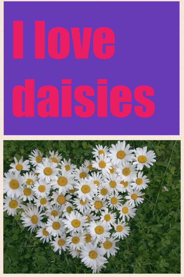 I love daisies