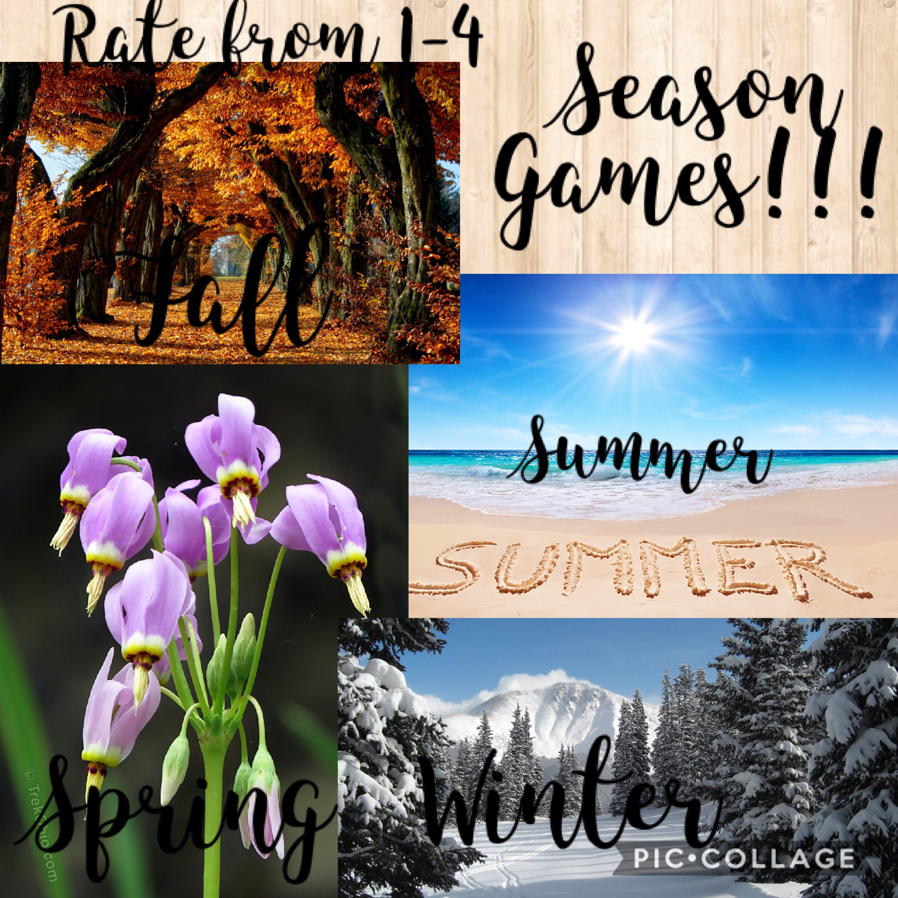 Season games! Please join!!