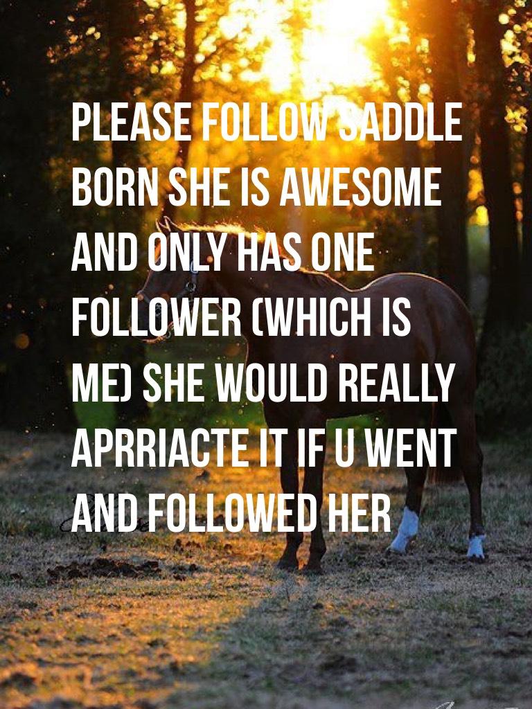 Please follow Saddle born she is awesome 