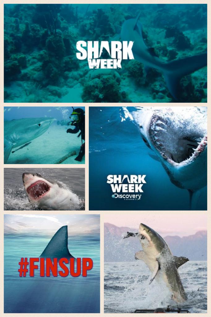 #SharkWeek