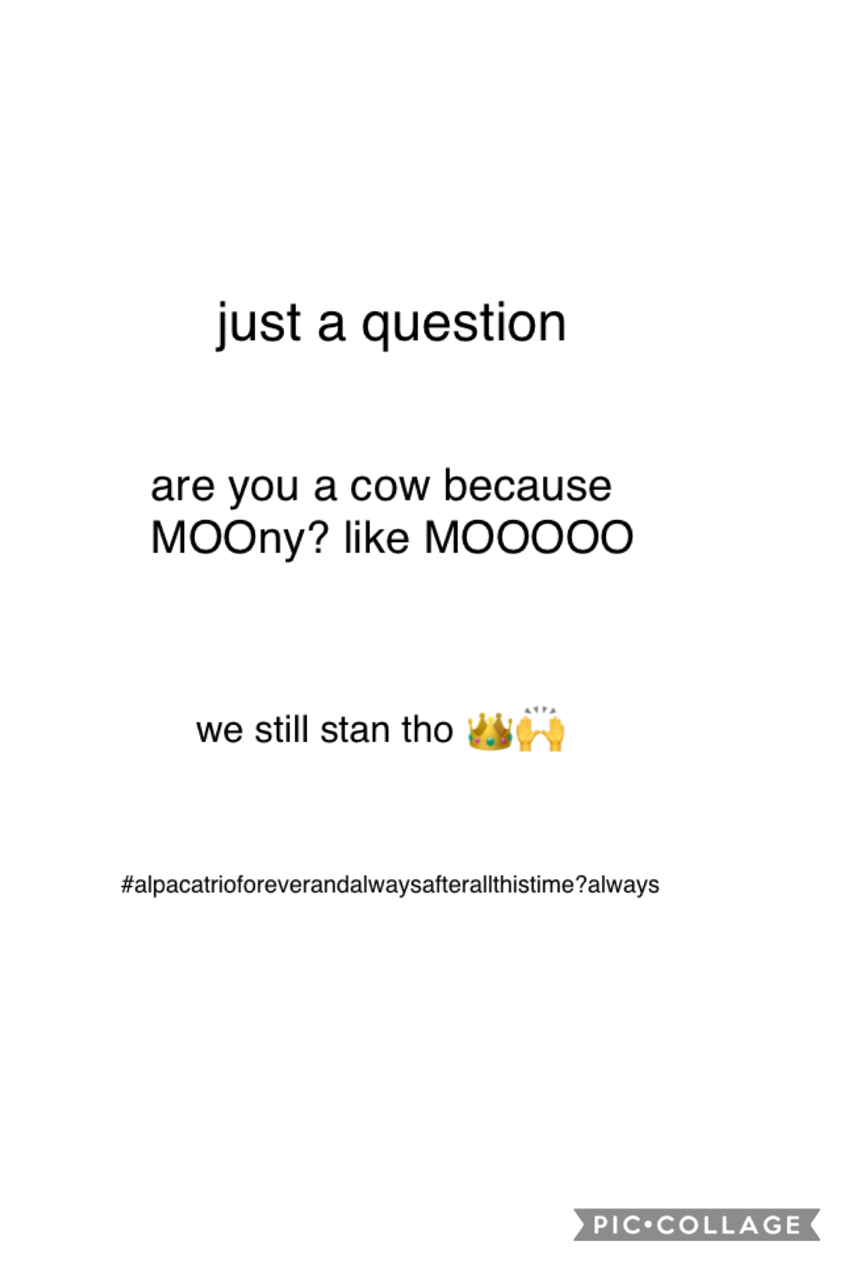 meow meow I’m a cow 🐮 