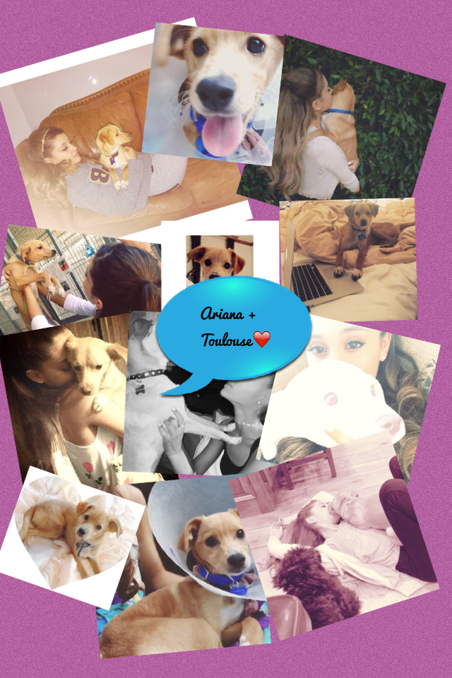 Ariana and Toulouse😍😍😘😘😘❤️❤️