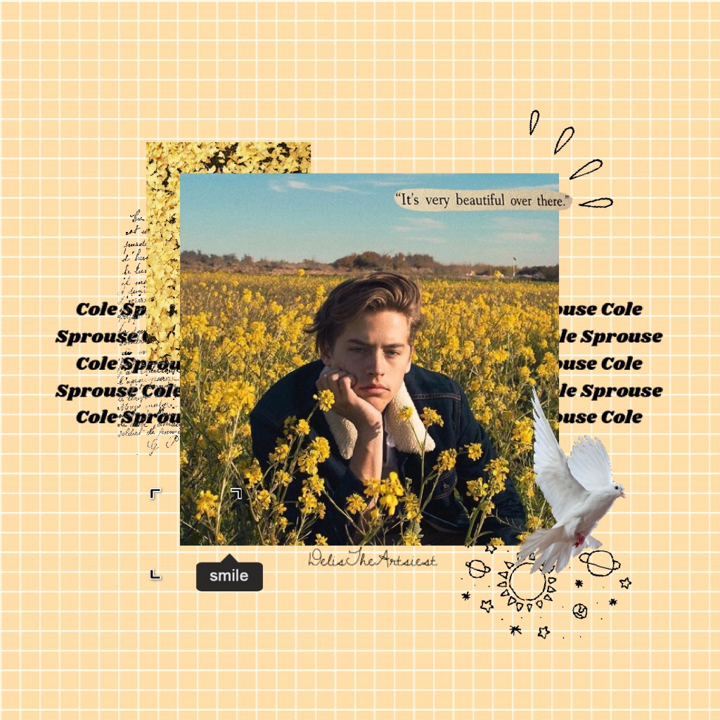 💫TAP💫
Lots of yellow
✨
If you don't like cole Sprouse then we can't be friends.
Jk, but seriously, how could you not like him???
🌻#sunflowersquad🌻