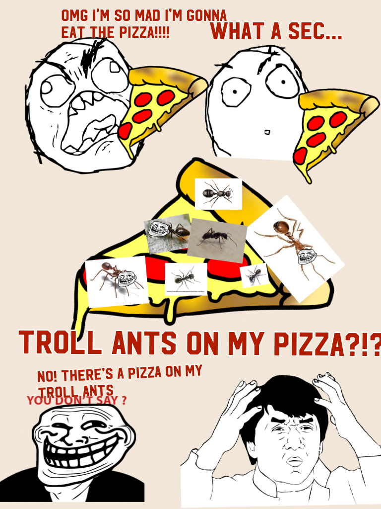 Troll ants on my pizza?!?!?