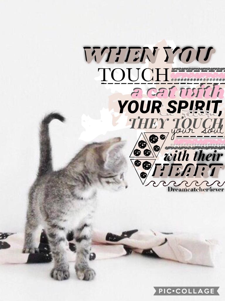 🐱💜CLICKY💜🐱
Well, you guys wanted the other one 💖😘 I know it's the same background, oh well 😂 xx