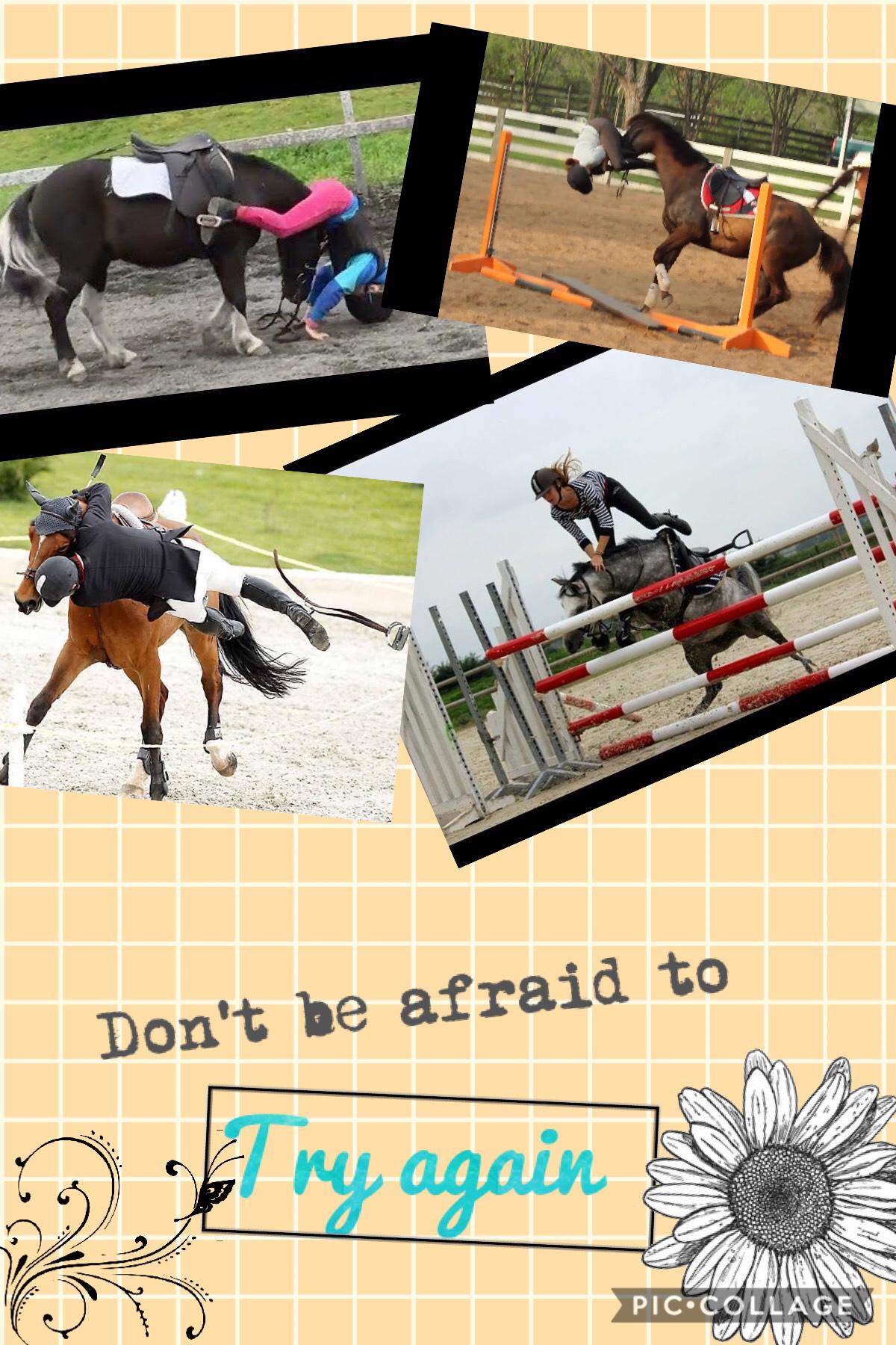 Collage by Jumping_Equine05