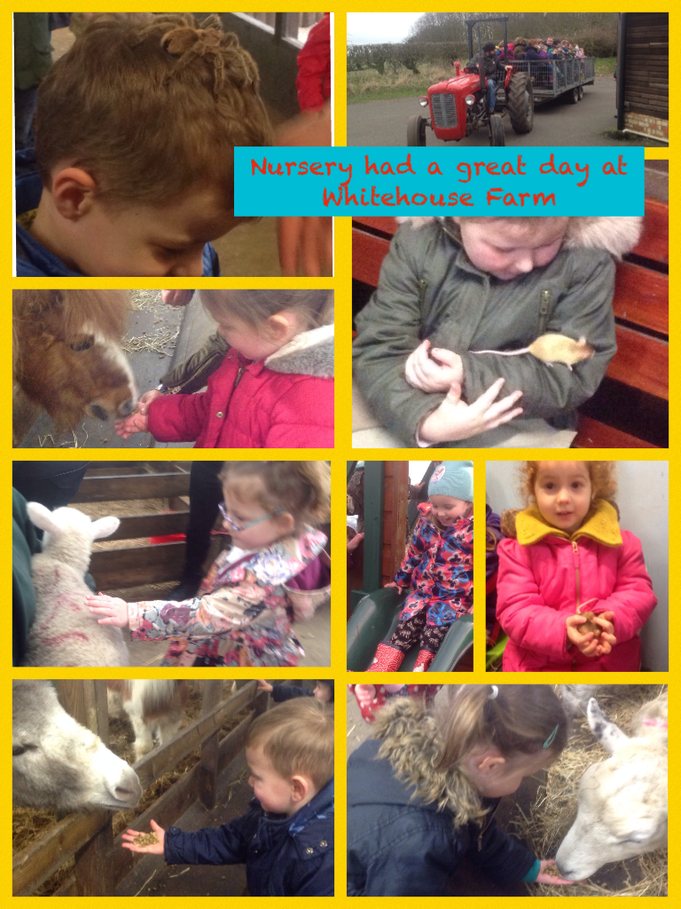 Nursery had a great day at Whitehouse Farm