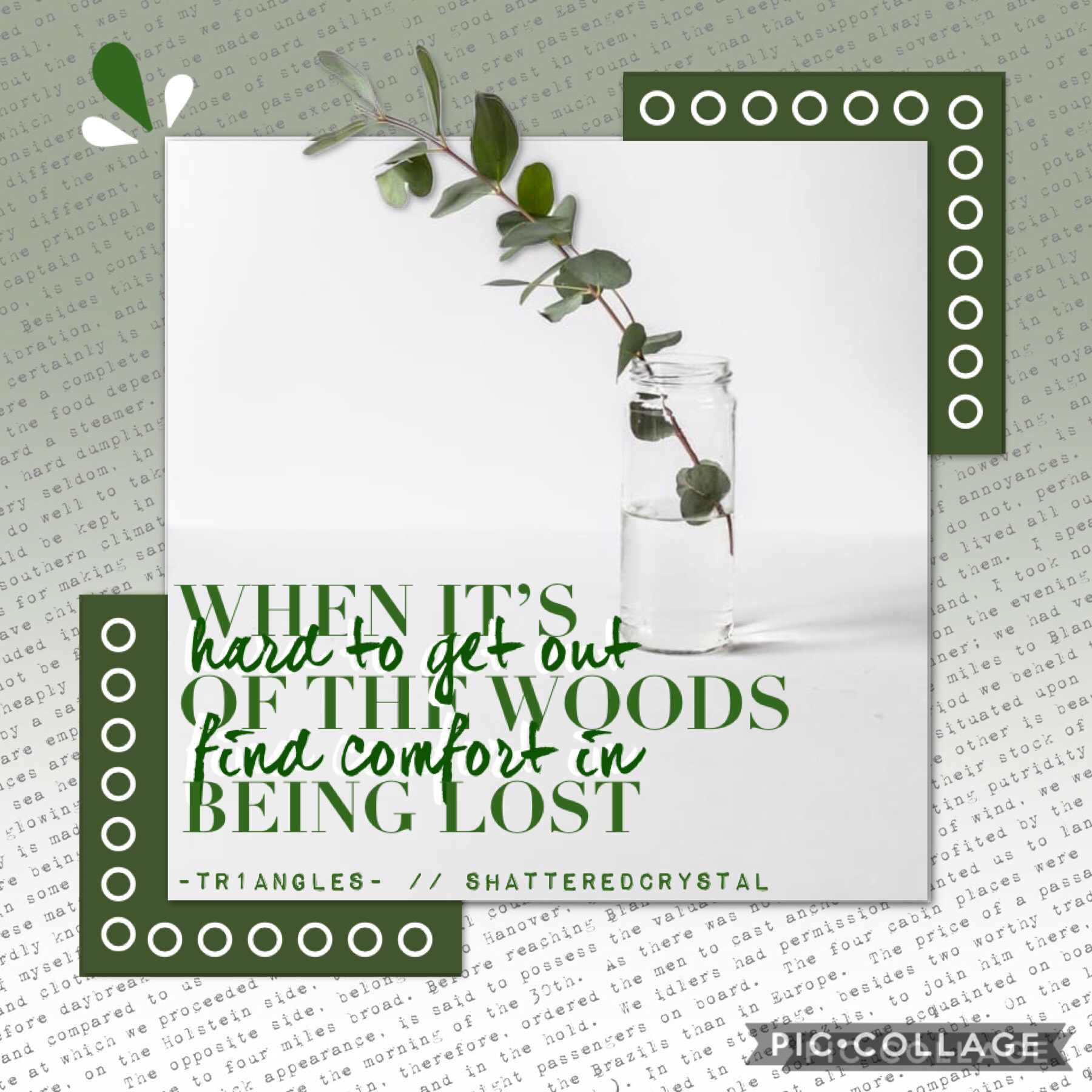 🍃 COLLAB WITH 🍃 
ShatteredCrystal!!
She’s an amazing collab partner and super talented! Go follow her :)
I did the text and she chose the quote and background!
QOTD: Green thumb?
AOTD: I like plant... but they don’t like me ;-;